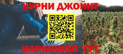 стаф Будённовск