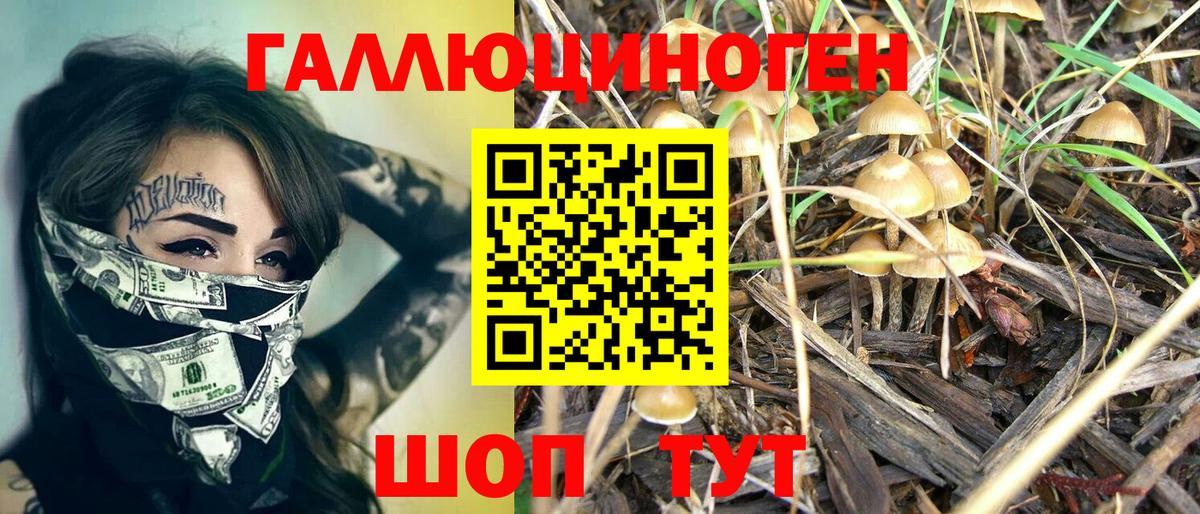 Псилоцибиновые грибы ЛСД Реутов