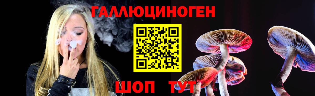 Реутов  Галлюциногенные грибы мицелий  Вход с VPN 